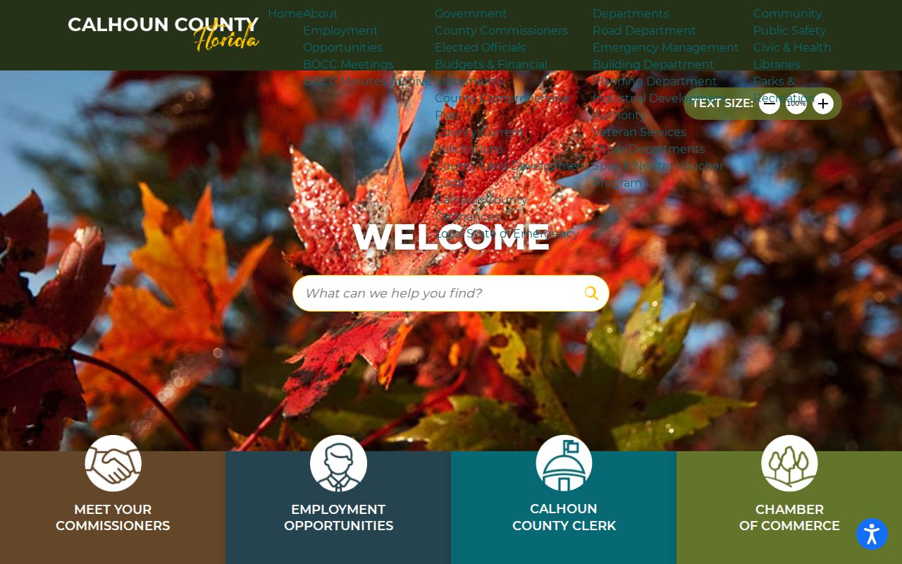Calhoun County criminal history county portal